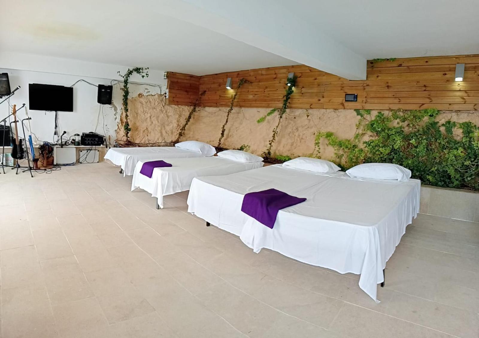 Exclusive Seafront Villa,Private Pool,Gym,Bbq Эль-Торо Экстерьер фото